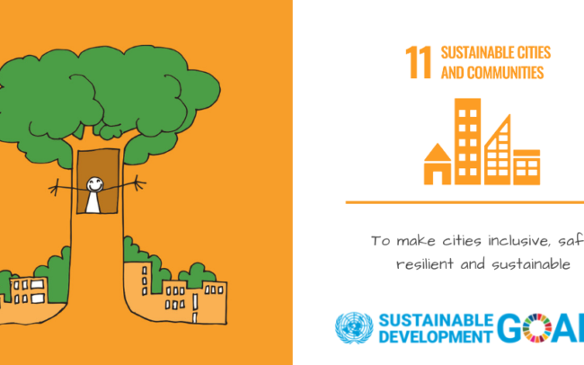 SDG 11