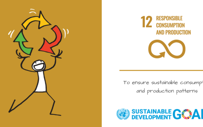 SDG 12