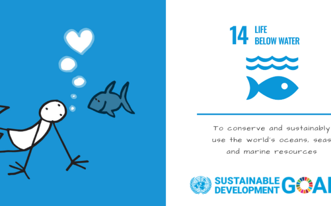 SDG 14