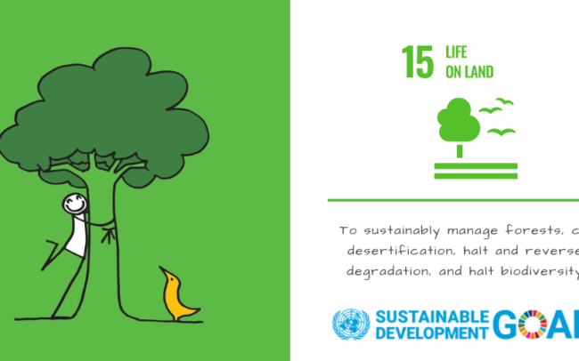 SDG 15